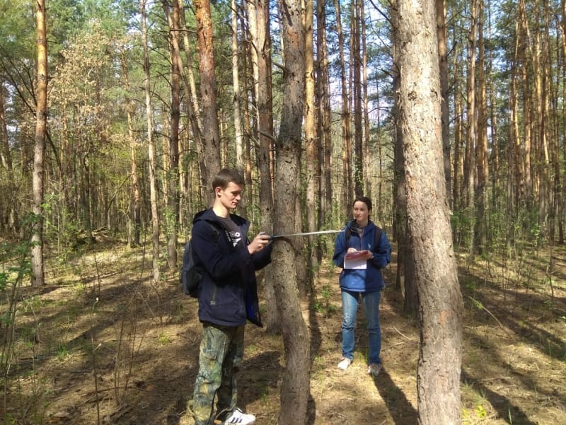 Наукова лісокультурна спадщина Боярської ЛДС у полі зору магістрів ННІ Лісового і садово-паркового господарства НУБіП України