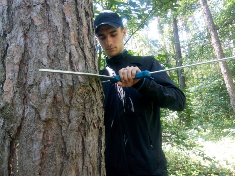 Інвентаризація лісів: аспіранти, магістри та студенти-дослідники завершили другий сезон польових робіт на базі Боярської ЛДС