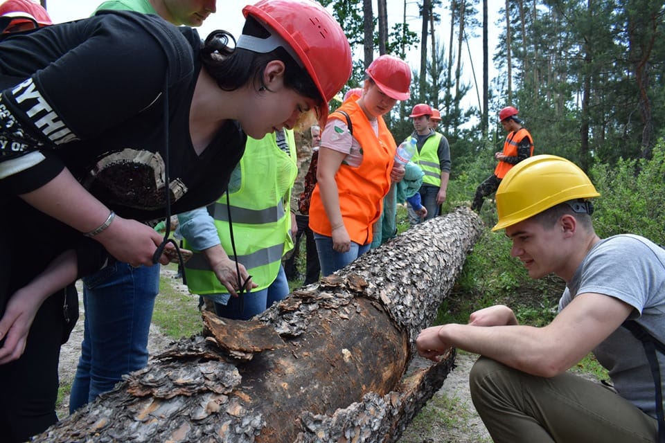 Наближене до природного лісівництво як система сучасного ведення лісового господарства