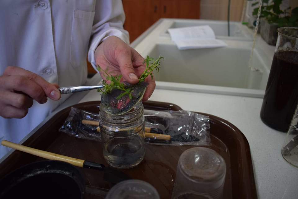 Біотехнологічна дільність ВП НУБіП України «Боярська ЛДС» (третє практичне заняття)