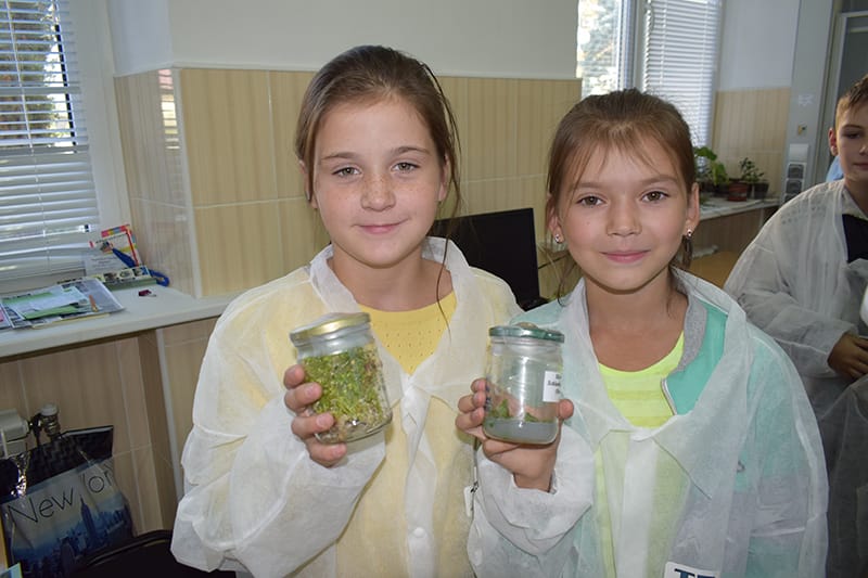 Любов до лісу потрібно виховувати змалку