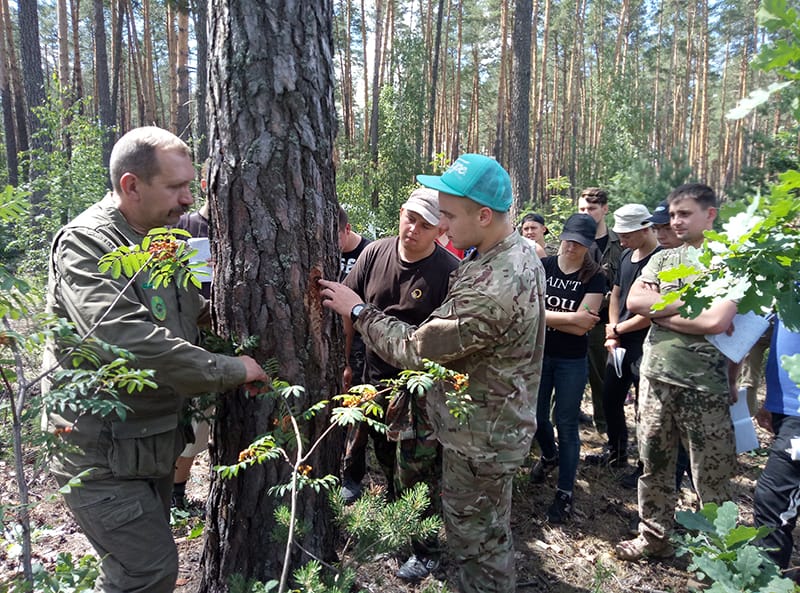 Навчальна практика з дисципліни «Лісівництво» у  ВП НУБіП України «Боярська ЛДС»