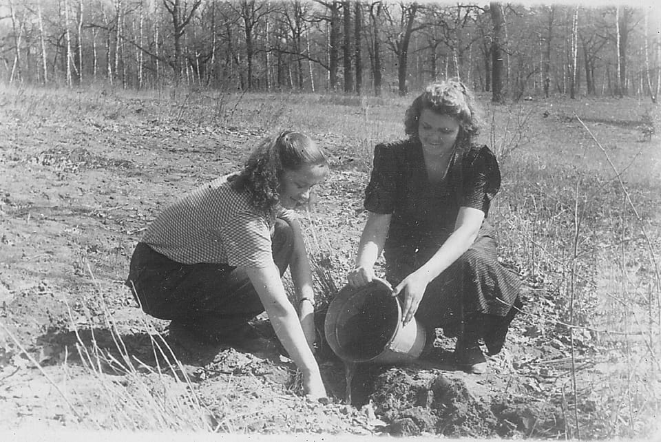 НАВЧАЛЬНІ ТА ВИРОБНИЧІ ПРАКТИКИ СТУДЕНТІВ-ЛІСІВНИКІВ (АРХІВНІ ФОТО)