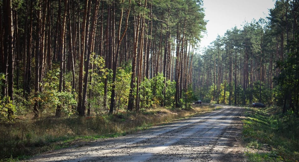 Фіскальний тягар