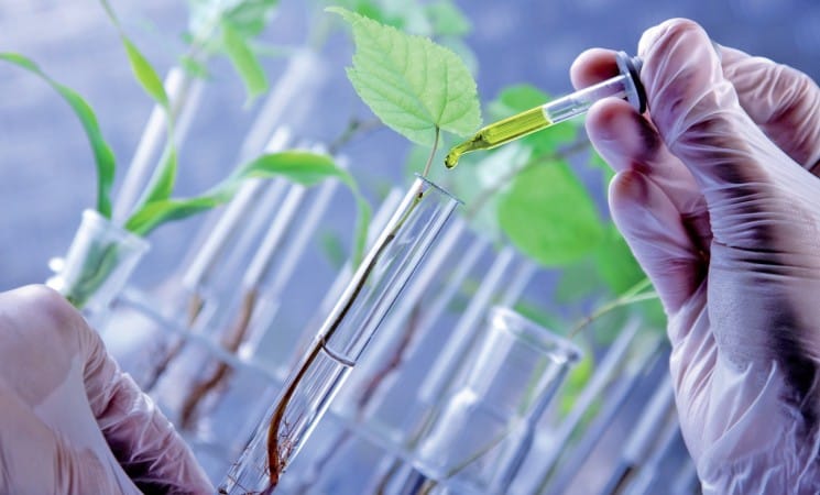 Наукова конференція у онлайн-режимі як платформа для дискусій та нових можливостей