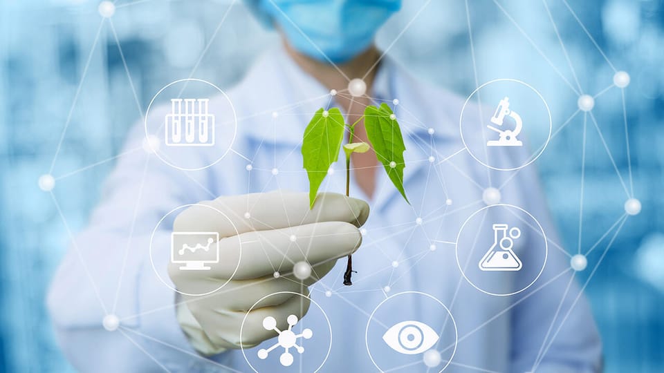 Онлайн-лекція для слухачів «Укрцентркадриліс» із лісової біотехнології