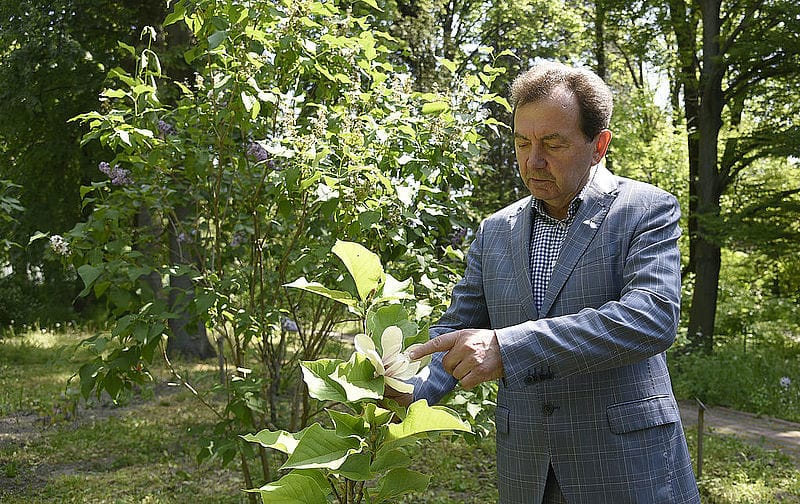 Юрій Марчук: "Запрошуємо до обговорення проблемних питань лісового гоподарства"