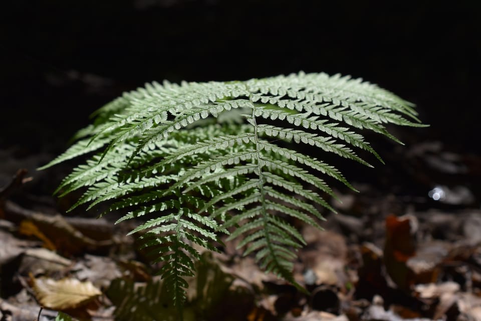 Фотозвіт за липень