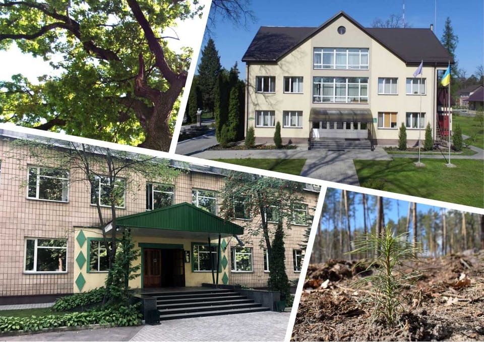 Партнерство та співпраця з «Укрцентркадриліс» – невід’ємна складова діяльності Боярської лісової дослідної станції