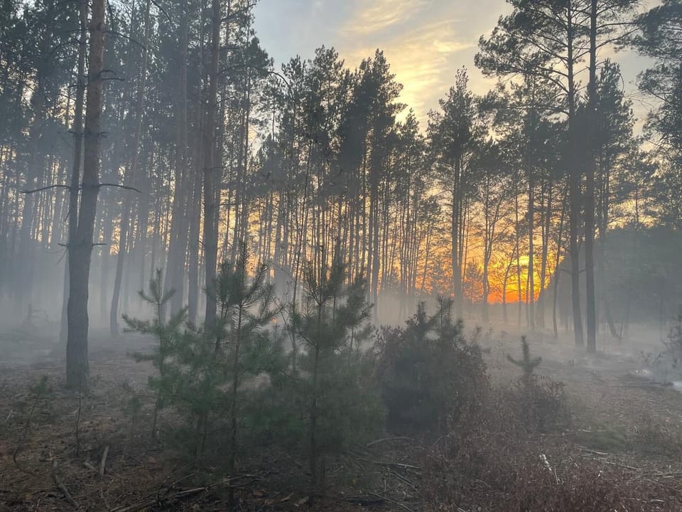 Ліквідовано масштабну ландшафтну пожежу