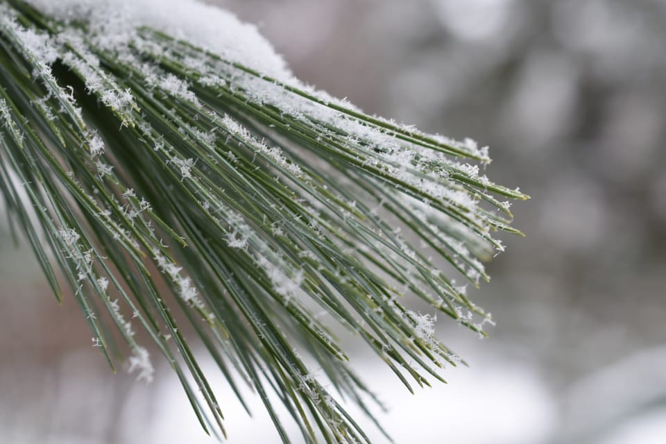 Фотозвіт за грудень!