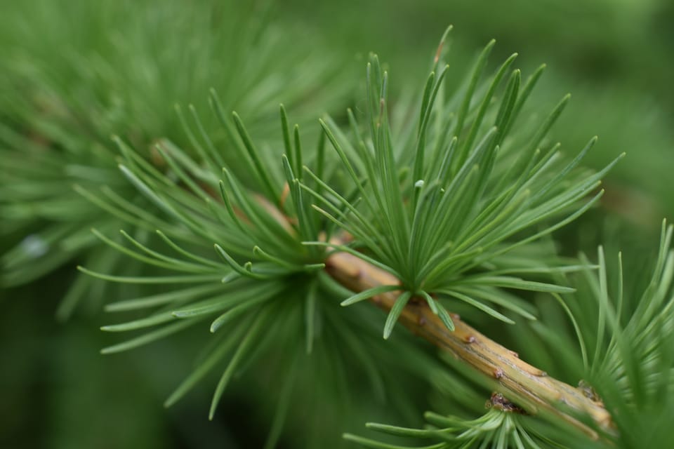 Фотозвіт за червень!