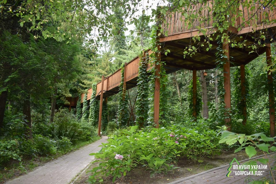 Ботанічний сад НУБіП – це  простір для натхнення, роздумів і творчості