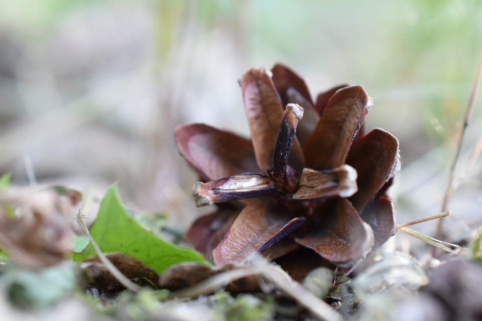 Фотозвіт за травень!