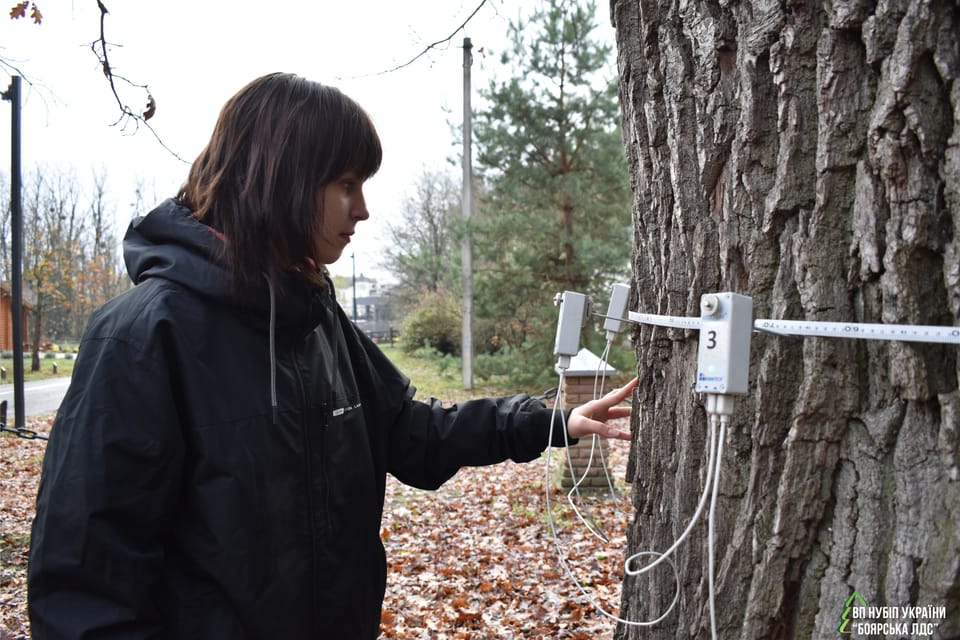 У світі науки