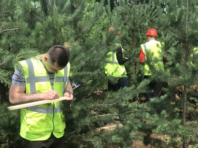 Поєднуючи навчання та дослідження: як проходила навчальна практика з лісової таксації