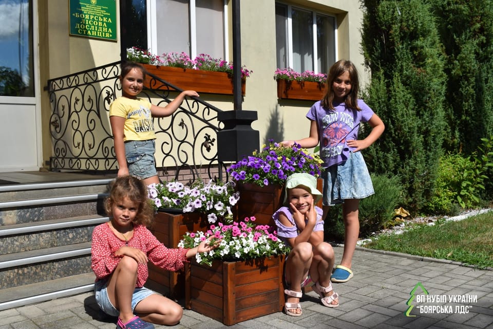 Пригоди починаються тут