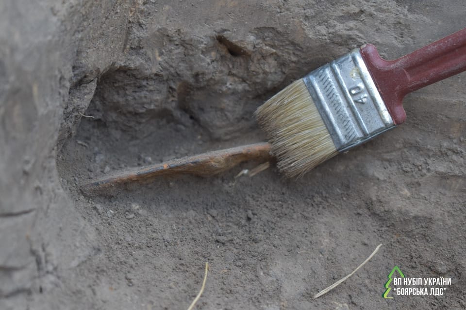 Від мезоліту до козацтва: розкопки на території Боярської ЛДС тривають