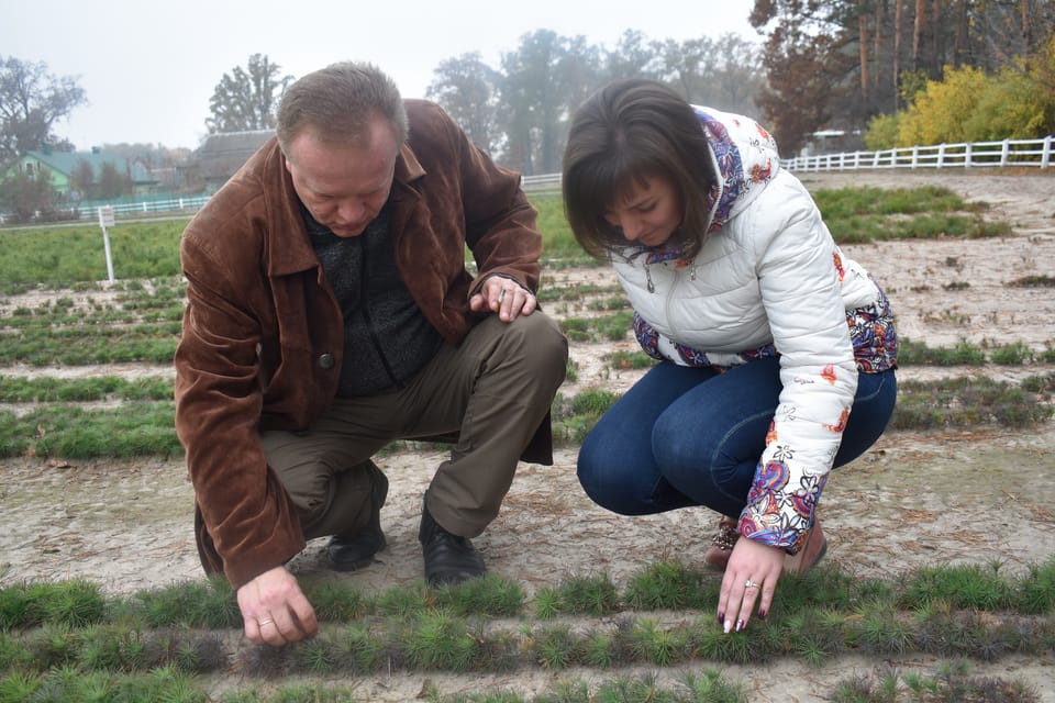 Виїзне засідання науково-технічної ради ВП НУБіП України «Боярська ЛДС»
