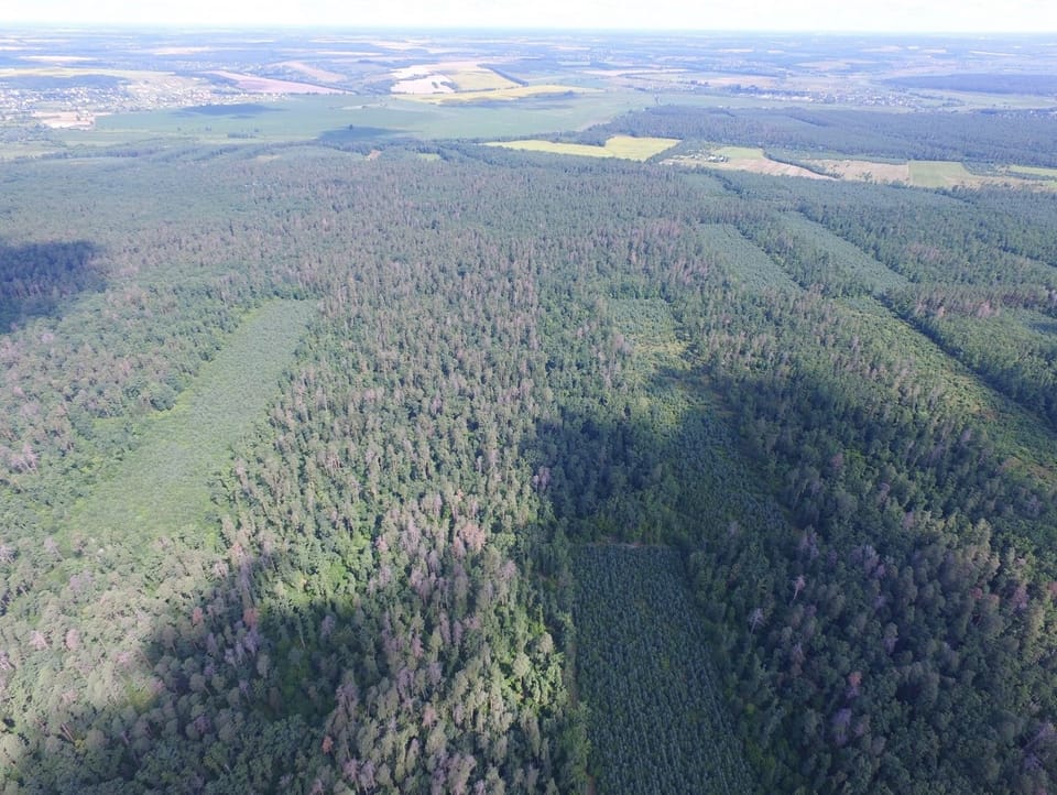 Працівники Боярської лісової дослідної станції разом із представниками зацікавлених сторін провели спільне виїзне засідання