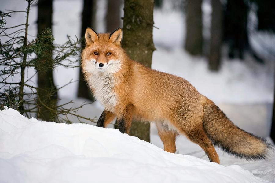 Сказ у сучасному світі!