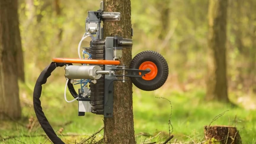 Технологічні інновації в лісовому господарстві