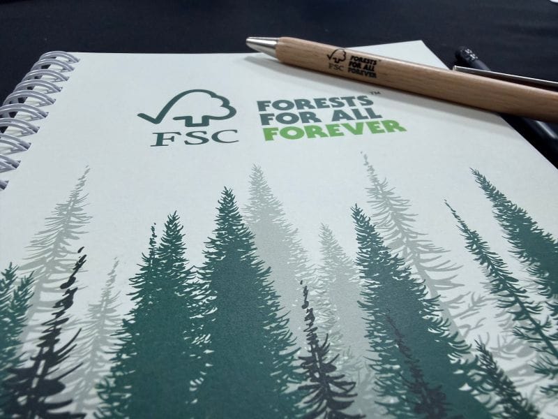 Відповідальне лісівництво починається зі знань — і переходить у дію