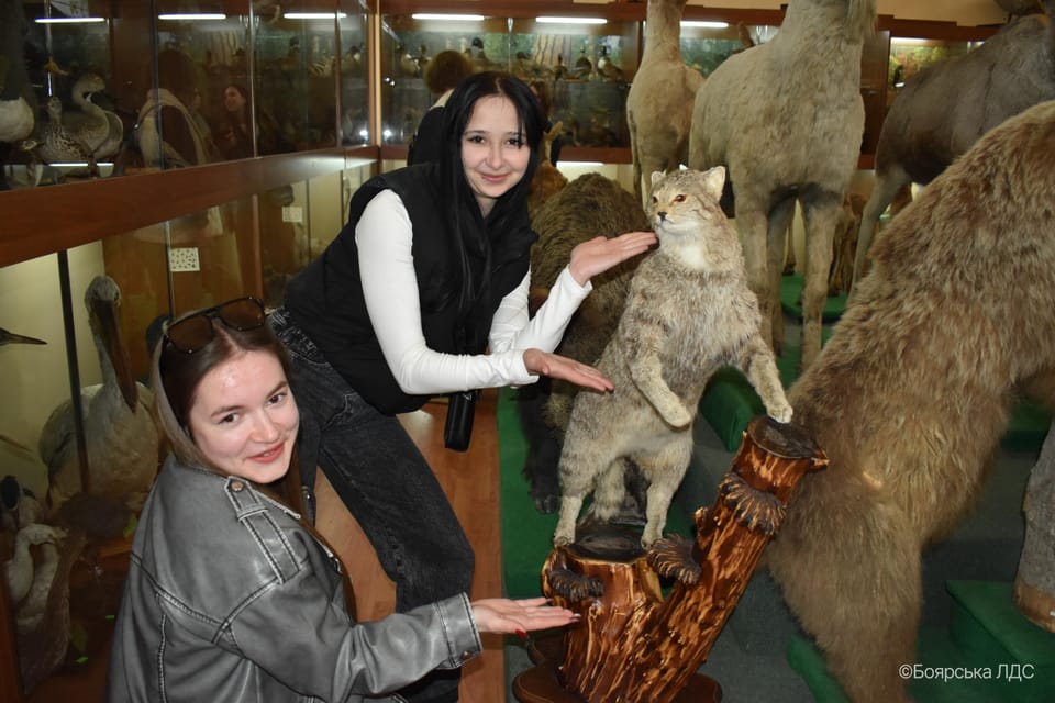 Профорієнтація в дії: школярі ознайомилися з лісовою наукою в ННІ ЛіСПГ